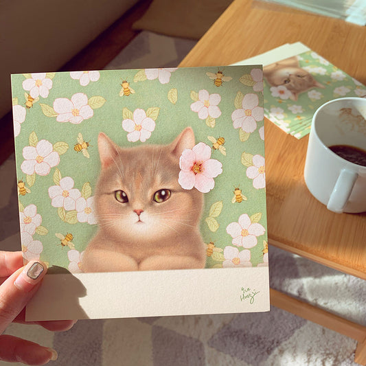 ICEHONGSI - Cartes Postales Chats 43 Versions