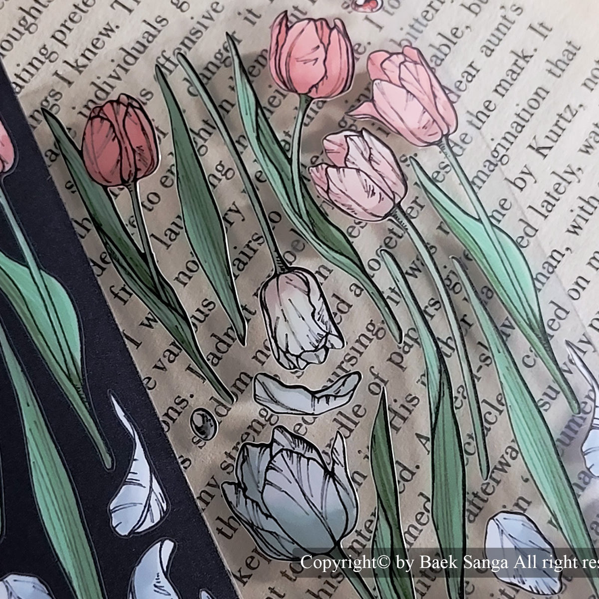 BAEK SANGA - Sticker Tulipes Nocturnes