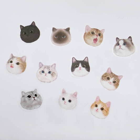 MIYUMEOW - Kiss Cut Visages si Mignons