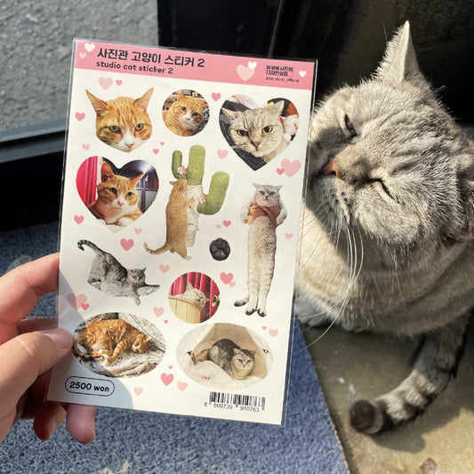BS STORE - Sticker Chats du Photographe2