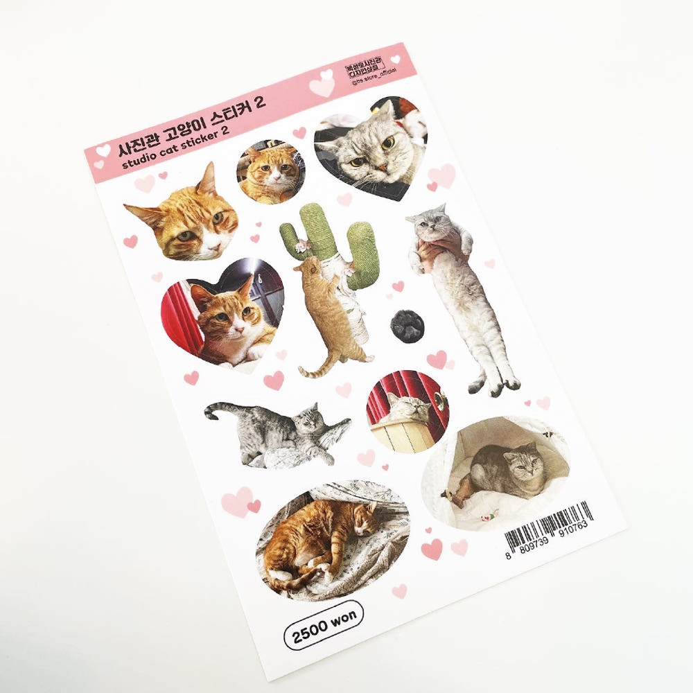 BS STORE - Sticker Chats du Photographe2
