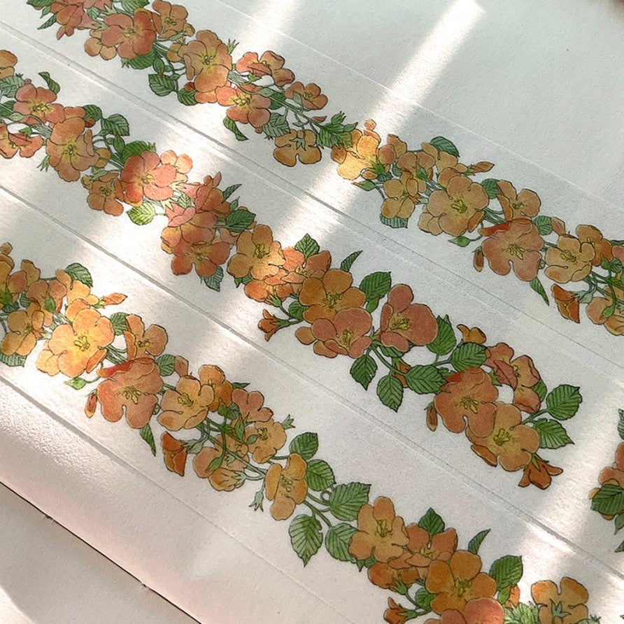 GNUNIM0 - Masking Tape Bignone de Chine
